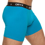 Boxer Brief // Blue (Small)