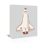 Atlantis (16"W x 20"H x 1.5"D)