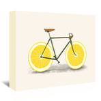 Zest (16"W x 20"H x 1.5"D)