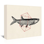 Fish In Geometrics  Ii (16"W x 20"H x 1.5"D)