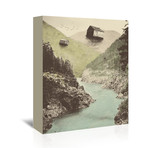 Antigravity (16"W x 20"H x 1.5"D)