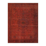 Vintage Overdye Collection // Wool Area Rug // 48464