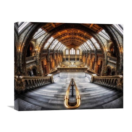 Harry Potter, Escher And Darwin (22"W x 18.3"H x 1.5"D)