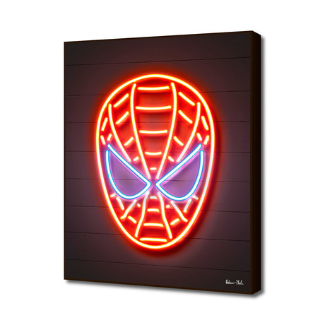 Spiderman (16"L x 20"H Art Block Framed)