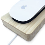 Magic Mouse 2 Charger