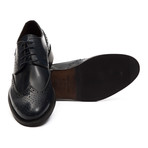 Moncenisio Wingtip Dress Shoe // Blue (Euro: 39)