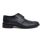 Cavedine Wingtip Brogue // Blue (Euro: 39)