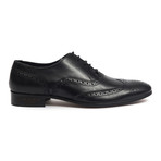 Caserta Wingtip Oxford // Nero (Euro: 42)