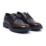 Viadana Two-Tone Brogue // Blue + Bordeaux (Euro: 43)