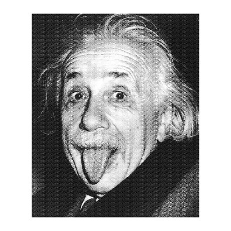 Einstein (18”W x 24”H x 1.5"D)