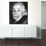 Einstein (18”W x 24”H x 1.5"D)