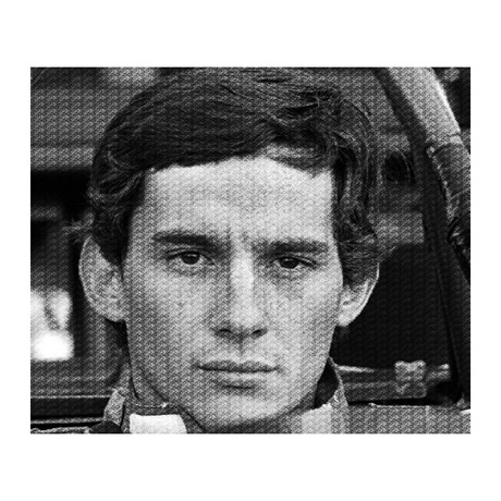 Senna (24”W x 20”H x 1.5"D)