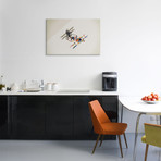 Walking Shadow Bicycle (26"W x 18"H x 0.75"D)