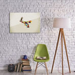 Walking Shadow Squirrel (26"W x 18"H x 0.75"D)