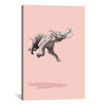 Float Like A Bird (26"W x 18"H x 0.75"D)