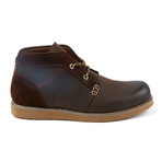 Carr // Dark Brown (US: 10)