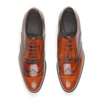 Patent Lace Up Wingtip Oxford // Brown (Euro: 40)