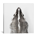 American Badger I (18"W x 18"H x 0.75"D)