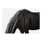 Lusitano Horse I (18"W x 26"H x 0.75"D)