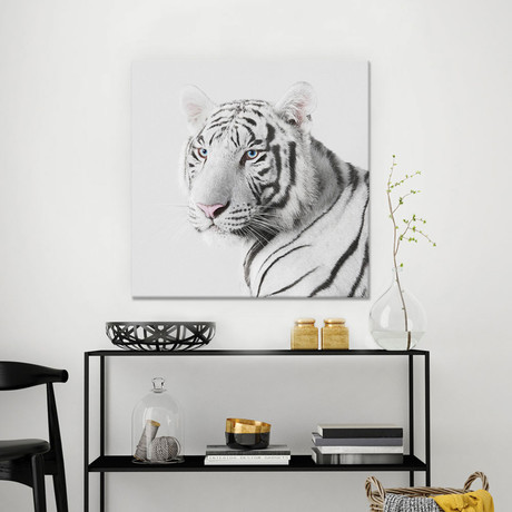 White Tiger I (18"W x 18"H x 0.75"D)