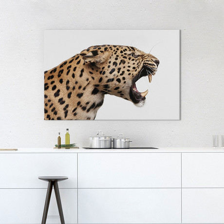 Spotted Leopard Snarl I (18"W x 26"H x 0.75"D)