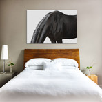 Lusitano Horse I (18"W x 26"H x 0.75"D)