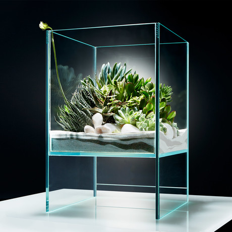 Elevate Terrarium // DIY Kit 3