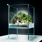 Elevate Terrarium // DIY Kit 3