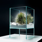 Elevate Terrarium // DIY Kit 2