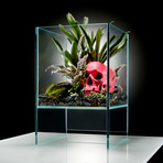 Elevate Terrarium // Pink Skull DIY Kit