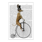 Greyhound On Black Penny Farthing Bike (18"W x 26"H x 0.75"D)