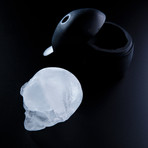 Skull Ice Mold // Set of 2