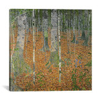 The Birch Wood, 1903 (18"W x 18"H x 0.75"D)
