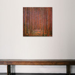 Fir Forest I // Gustav Klimt (18"H x 18"W x 0.75"D)
