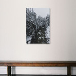 Wintery Rivers Of Whistler (18"W x 26"H x 0.75"D)