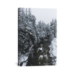 Wintery Rivers Of Whistler (18"W x 26"H x 0.75"D)