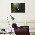 Toketee Falls, Oregon (26"W x 18"H x .75"D)