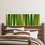 Green Bamboo