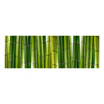 Green Bamboo