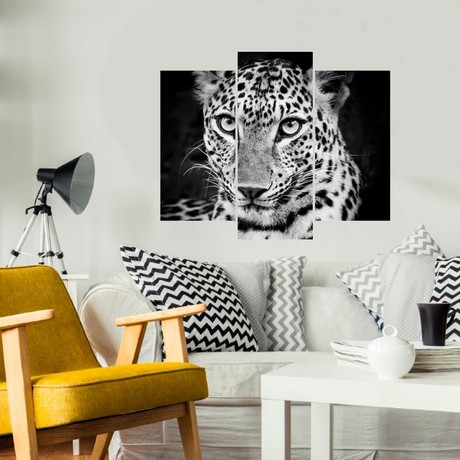 Leopard // Black + White