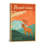 National Parks Collection // Denali National Park I (18"W x 26"H x 0.75"D)
