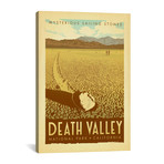 National Parks Collection // Death Valley (18"W x 26"H x 0.75"D)