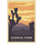 National Parks Collection // Joshua Tree (18"W x 26"H x 0.75"D)