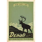 National Parks Collection // Denali National Park II (18"W x 26"H x 0.75"D)