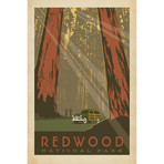 National Parks Collection // Redwood National Park (18"W x 26"H x 0.75"D)