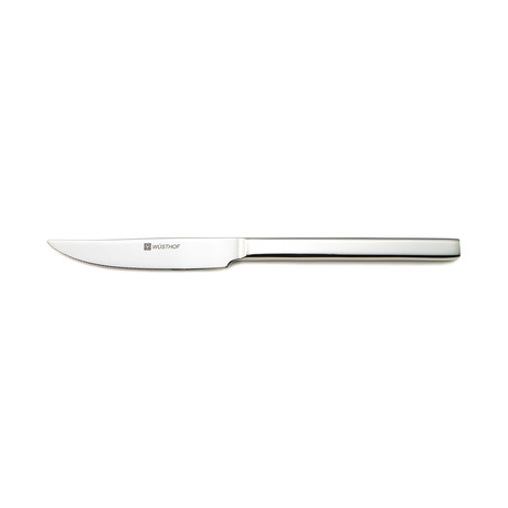 Stainless Steel Steak Knives // Set of 8
