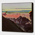 Engulfed (16"W x 16"H x 2"D)