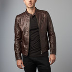 U411 Leather Biker Jacket // Dark Brown (Euro: 48)