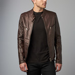 Daniel Leather Biker Jacket // Dark Brown (Euro: 56)