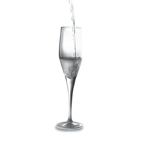 Casa Champagne Flute Glasses // 7.3oz